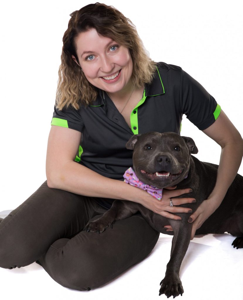 Dog Trainer Inner West Sydney Online Dog Training Course