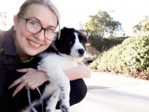 Dog training class inner west Sydney