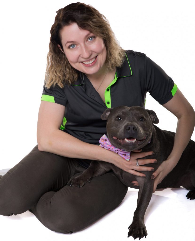 Private Dog Training Sydney