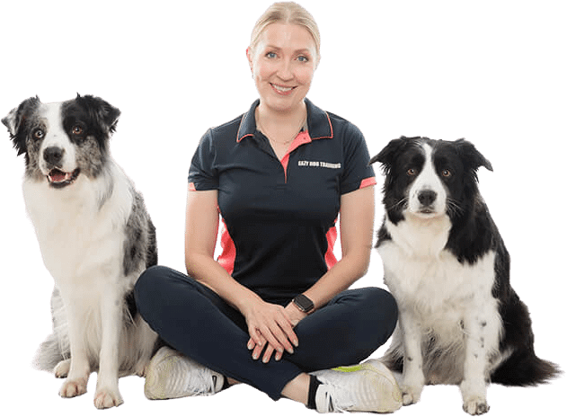 Dog trainer sitting with two dogs